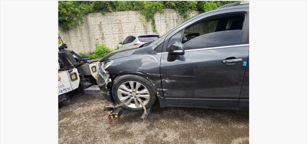 hc:1784008850_03195_.jpg
