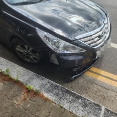Hyundai Sonata 2.0(LPG) 2010